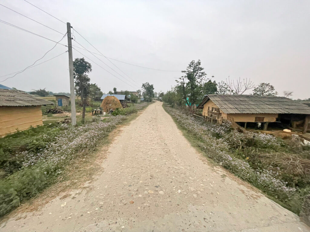 Unpaved rural road lined with houses and vegetation in Bardiya, Nepal.